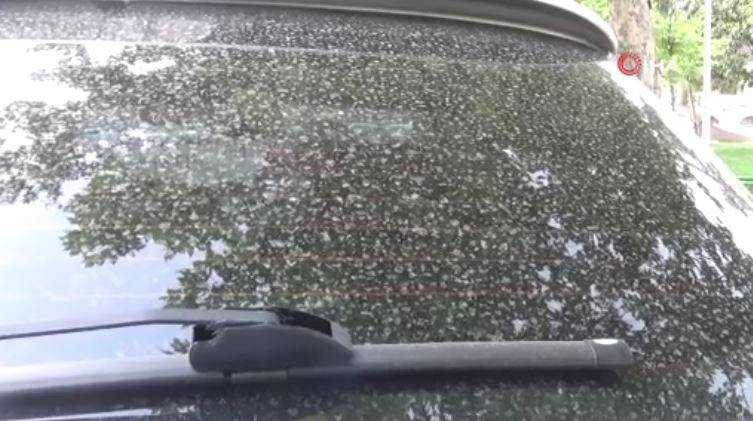 Gözyüzü griye döndü. Araçlar tozla kaplandı. Görenler telefonuna sarıldı - Resim: 9